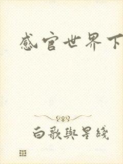 感官世界下载封面