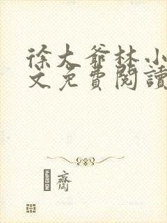 徐大爷林小琴全文免费阅读最新章节