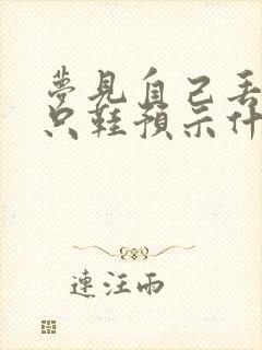 梦见自己丢了一只鞋预示什么