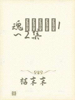 魂インサート1～2集