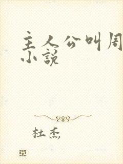 主人公叫周平的小说