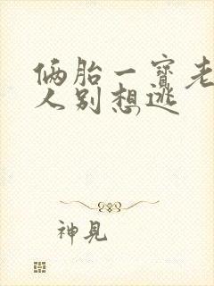 俩胎一宝老婆大人别想逃