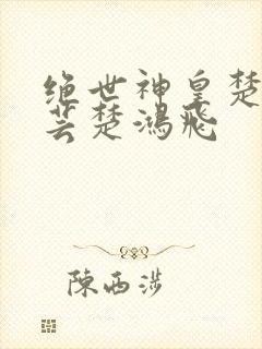 绝世神皇楚风楚芸楚鸿飞