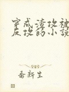 穿成渣攻被老婆反攻的小说