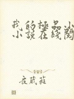 我的极品小姨 小说在线阅读