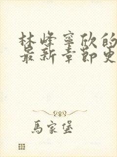 林峰宁欣的小说最新章节更新