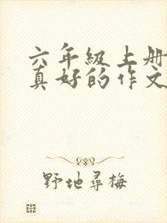 六年级上册有您真好的作文