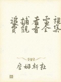 追捕者电视剧免费观看全集完整版