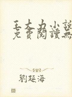 王大力小说小说免费阅读无弹窗