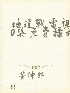 地道战电视剧40集免费播放