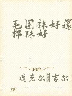 毛圈袜好还是纯棉袜好