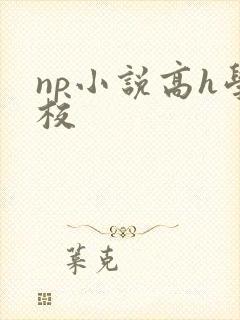 np小说高h学校