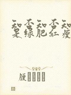 知否知否知否应是绿肥红瘦在线观看免费封面