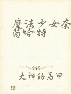 魔法少女奈叶艾茵哈特