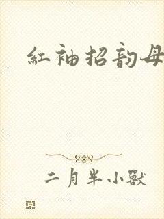 红袖招韵母攻略