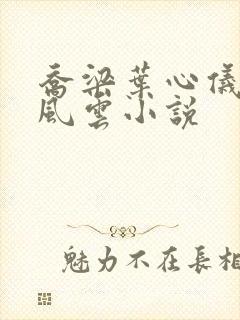 乔梁叶心仪都市风云小说