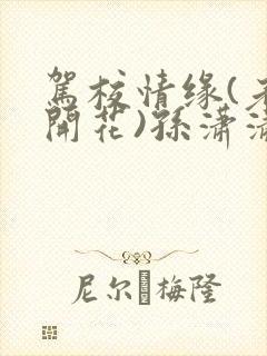 驾校情缘(老树开花)孙潇潇笔趣阁封面