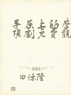 平原上的摩西电视剧免费观看