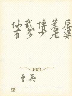 仙武传叶辰一共有多少老婆