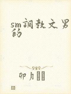 sm调教文男男的封面