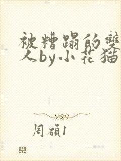被糟蹋的双性美人by小花猫