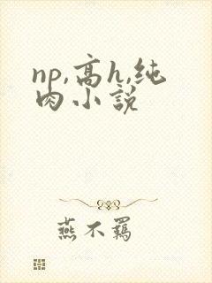 np,高h,纯肉小说