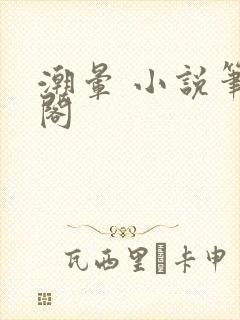 潮晕 小说笔趣阁封面