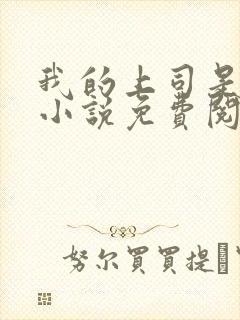 我的上司是女王小说免费阅读