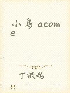 小鸟 acome封面
