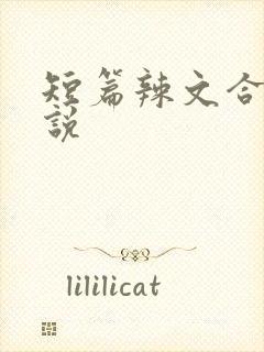 短篇辣文合集小说