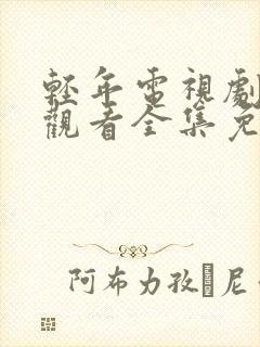 轻年电视剧在线观看全集免费播放