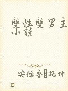 双性双男主生子小说