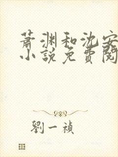 萧渊和沈安安的小说免费阅读封面