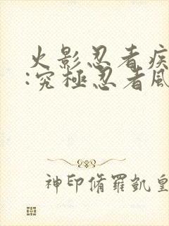 火影忍者疾风传:究极忍者风暴