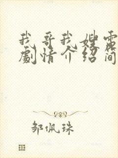 我哥我嫂电视剧剧情介绍简介