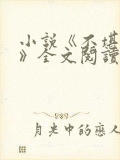 小说《不堪入目》全文阅读