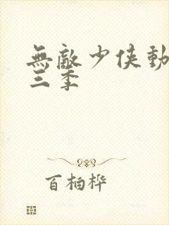 无敌少侠动漫第三季