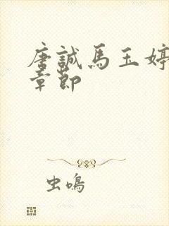 唐诚马玉婷最新章节