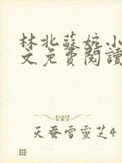 林北苏婉小说全文免费阅读无弹窗