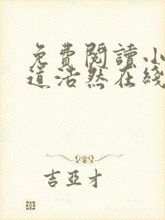 免费阅读小说大道浩然在线阅读全文