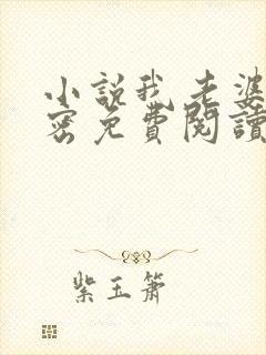 小说我老婆的秘密免费阅读