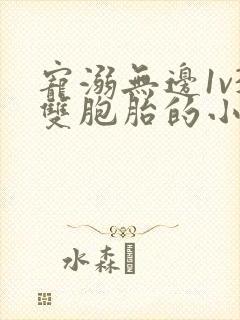 宠溺无边1v3双胞胎的小说