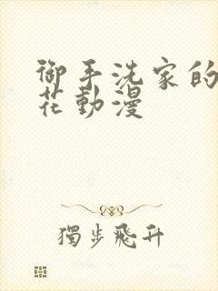 御手洗家的事樱花动漫