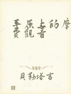 平原上的摩西免费观看