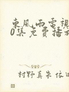 东风雨电视剧40集免费播放在线观看封面