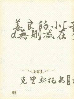 善良的小[子hd无删减在多少集