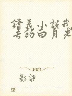 锖义小说我那逝去的白月光封面