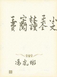 王宇林柔小说免费阅读全文最新章节封面