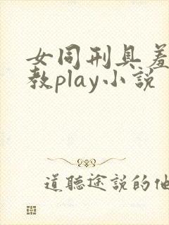 女同刑具羞耻调教play小说