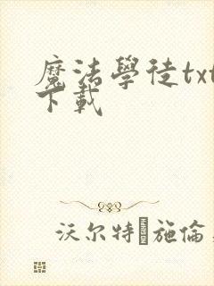 魔法学徒txt下载